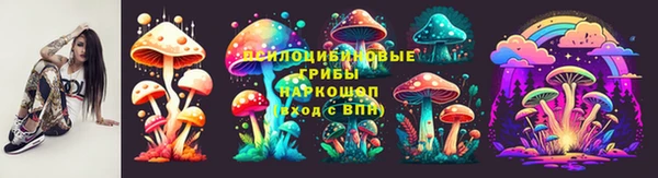 стафф Волоколамск